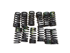 BMW OEM Valve Spring Set 12psc