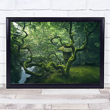 Japanese Tree Garden Zen Green