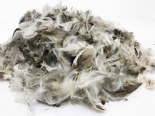 Soft loose duck feather toy - duck,