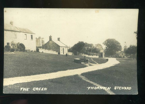 Thornton steward yorkshire - steward,