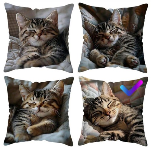 Printed cute tabby kitten - x,
