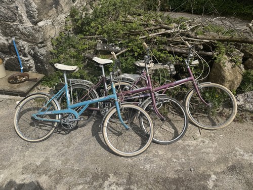 Raleigh 20s for - 3,
