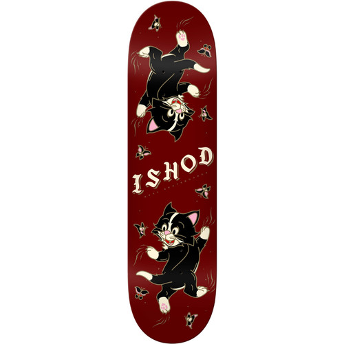 Real ishod wair - ishod, kitten