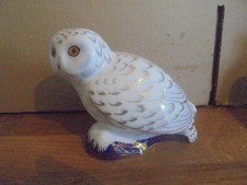 Royal Crown Derby Snowy Owl