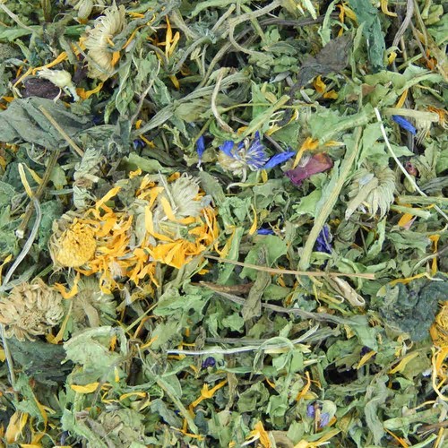 Bunny delight forage blend - delight,