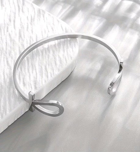 Ankh bangle silver - silver, stainless
