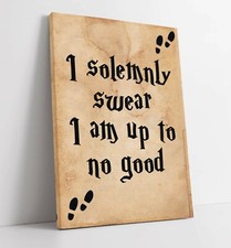 "I SOLEMNLY SWEAR" MARAUDERS