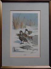 J C Harrison LE Signed Pintail Ducks in Snow