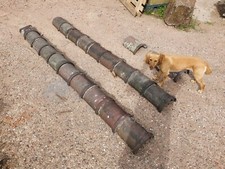 Staffordshire Blue/brindle