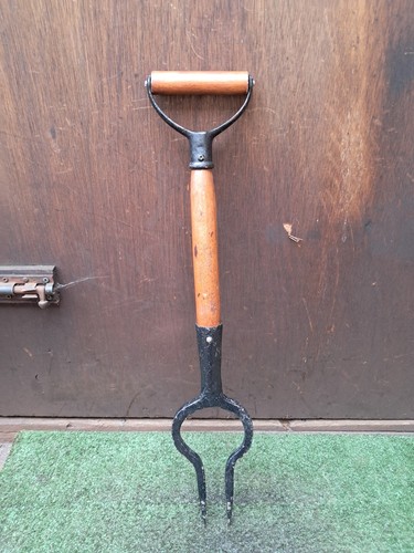 Vintage turnip lifter - turnip, beet