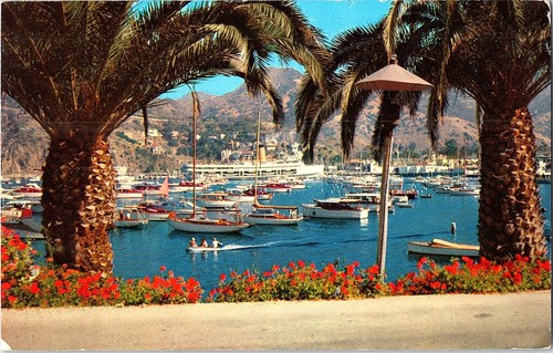 Avalon bay catalina island - avalon,