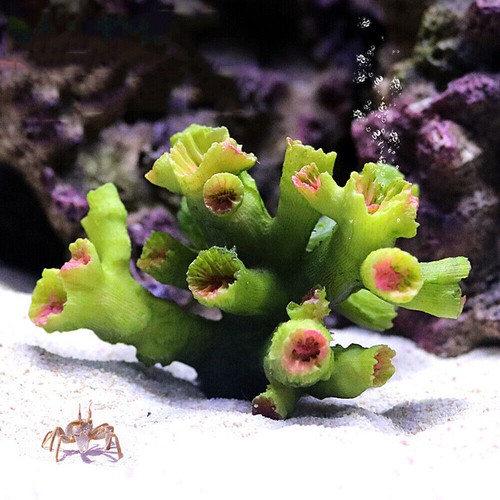 Artificial coral reef aquarium - artificial,