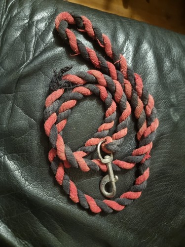 Horse tack lead rope red - horse,