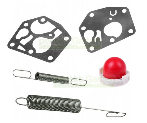 Carburetor repair kit for - repair,