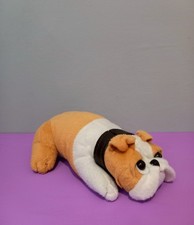 Adorable Small Brown And White