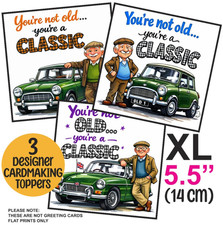 3 XL Card Toppers for