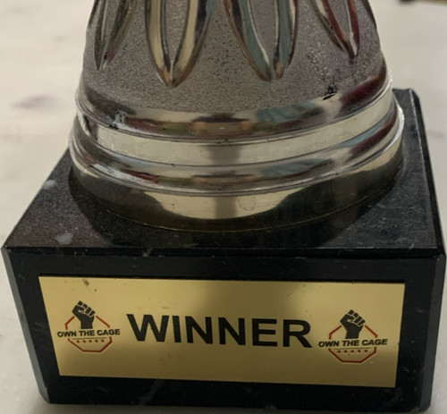 Trophy cup winner engraved - trophy, &