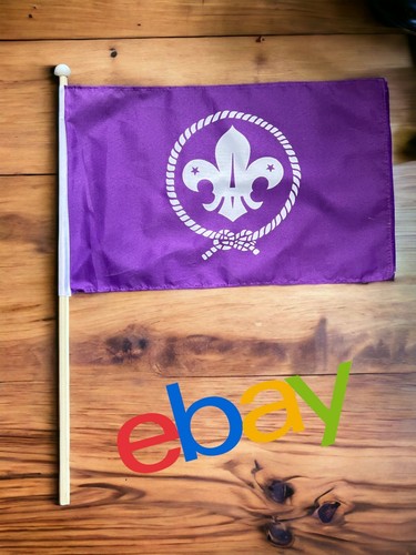 Scouts large hand - large, flag