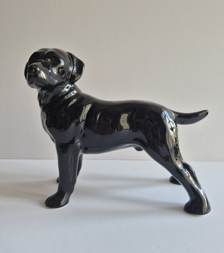 Black labrador china - black,