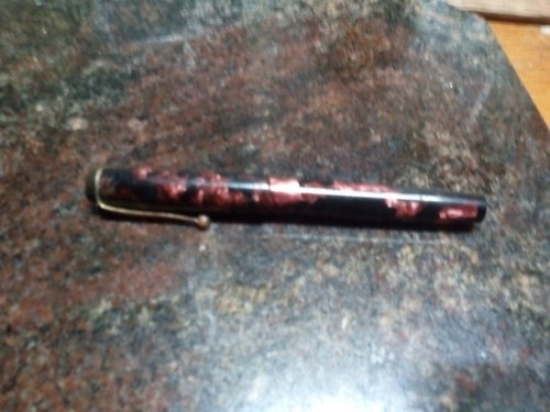 Fountain pen the onoto - fountain,
