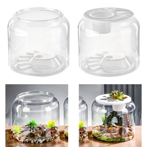 Turtle tank aquarium - turtle, table