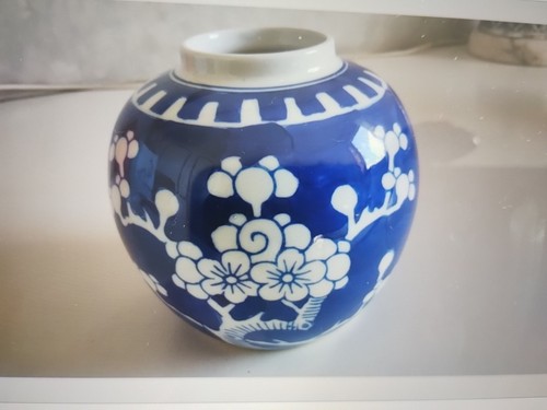 Chinese blue and white - white, prunes