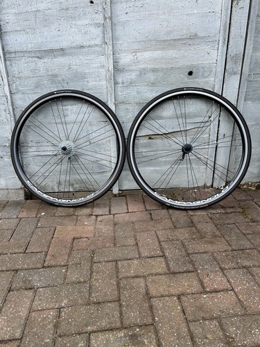 Campagnolo khamsins wheels - campagnolo,