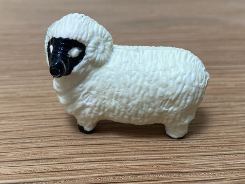 Black nosed sheep - black-nosed, ram