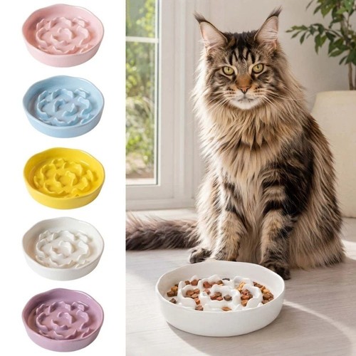 Cat bowl slow feeder pet - cat,