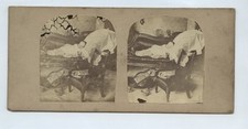 Child Sleeping Or Post Mortem