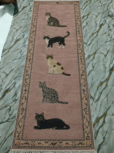 Hand knotted cat runner rug - hand,