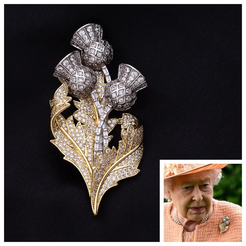 Scottish thistle brooch royal - scottish,