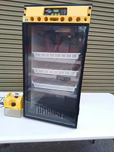 Brinsea 190 ova - brinsea, cabinet