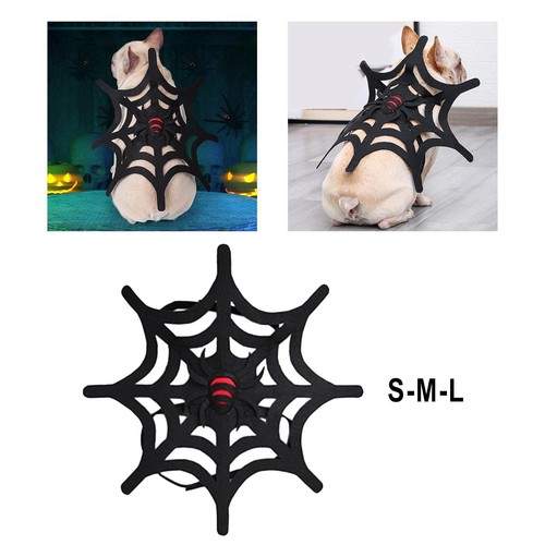 Pet guitar outfit - outfit, apparel