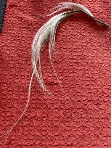 Blonde section natural horse - blonde,