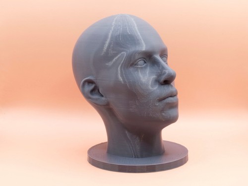 Female realistic head bust - female,