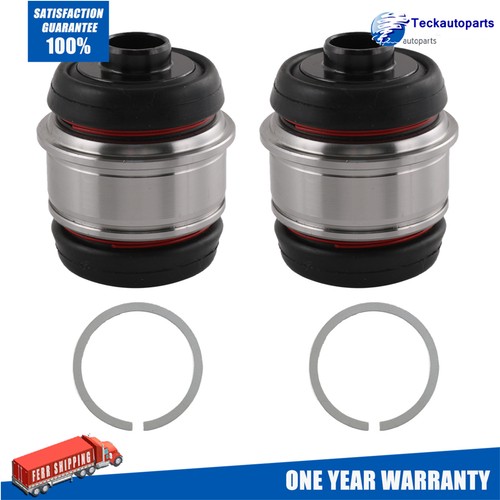 2pc rear lower - 2pc,