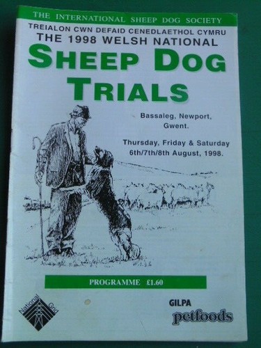 Welsh national sheep dog - welsh,