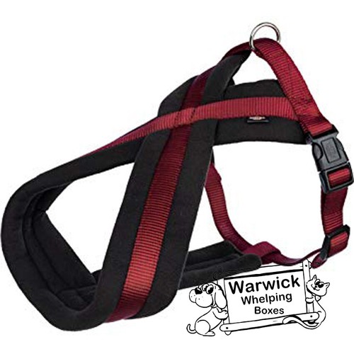 Winter comfort dog harness - winter,