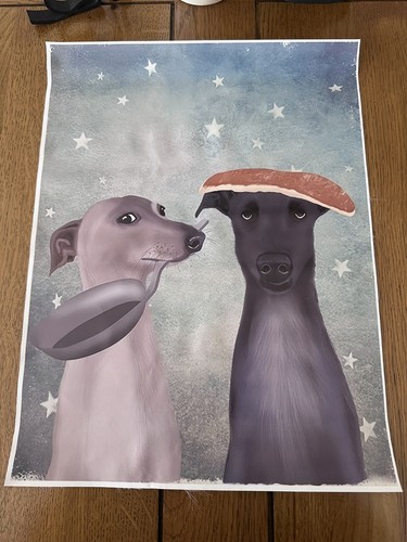 Whippet greyhound canvas - greyhound,
