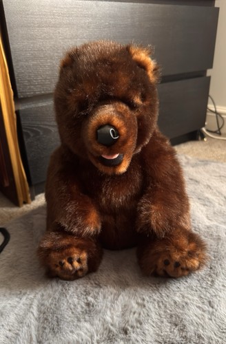 Disney parks grizzly bear - disney,