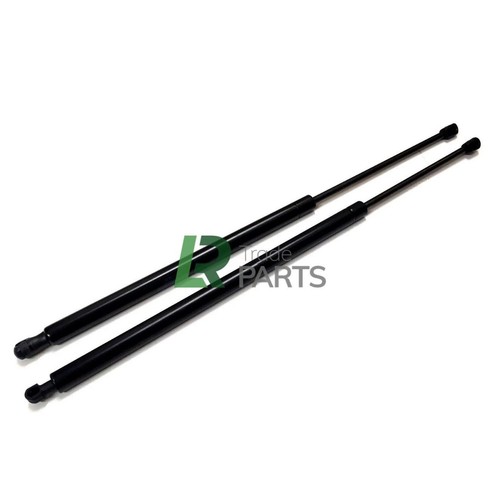 Rear tailgate gas - tailgate, x2