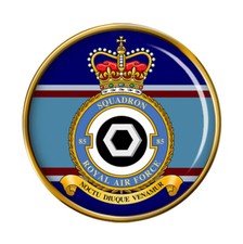 85 Squadron, RAF Pin Badge