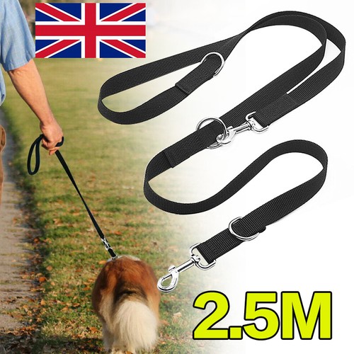 Control dog lead leash - lead,