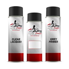 Aerosol Spray Paint Kit Mixed