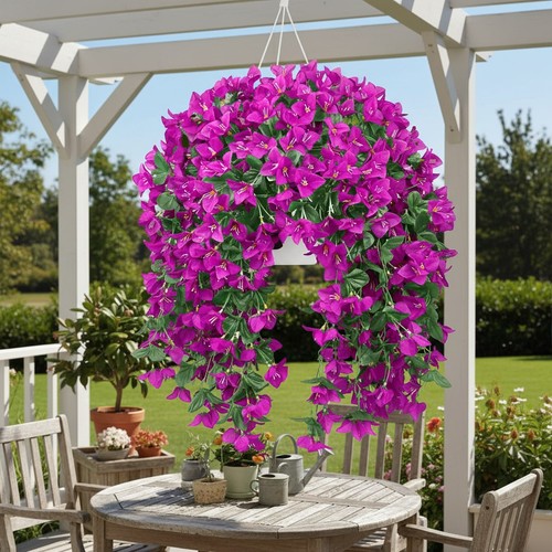3pcs bougainvillea hanging - bougainvillea,