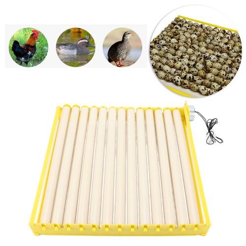 156 eggs turner fully - turner,
