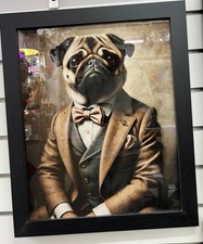Black framed Pug dog in a suit