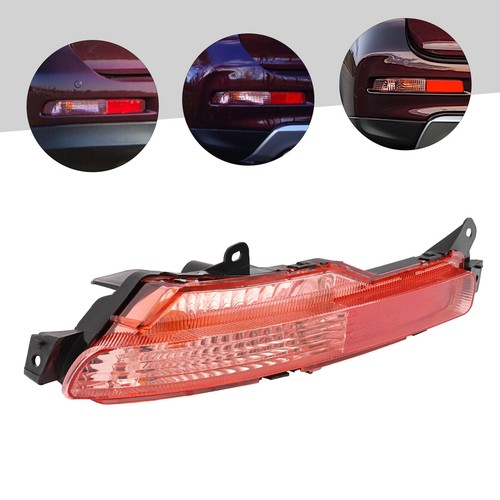 Left side rear turn signal - left,