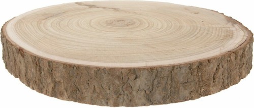 Large wood slices - 40,